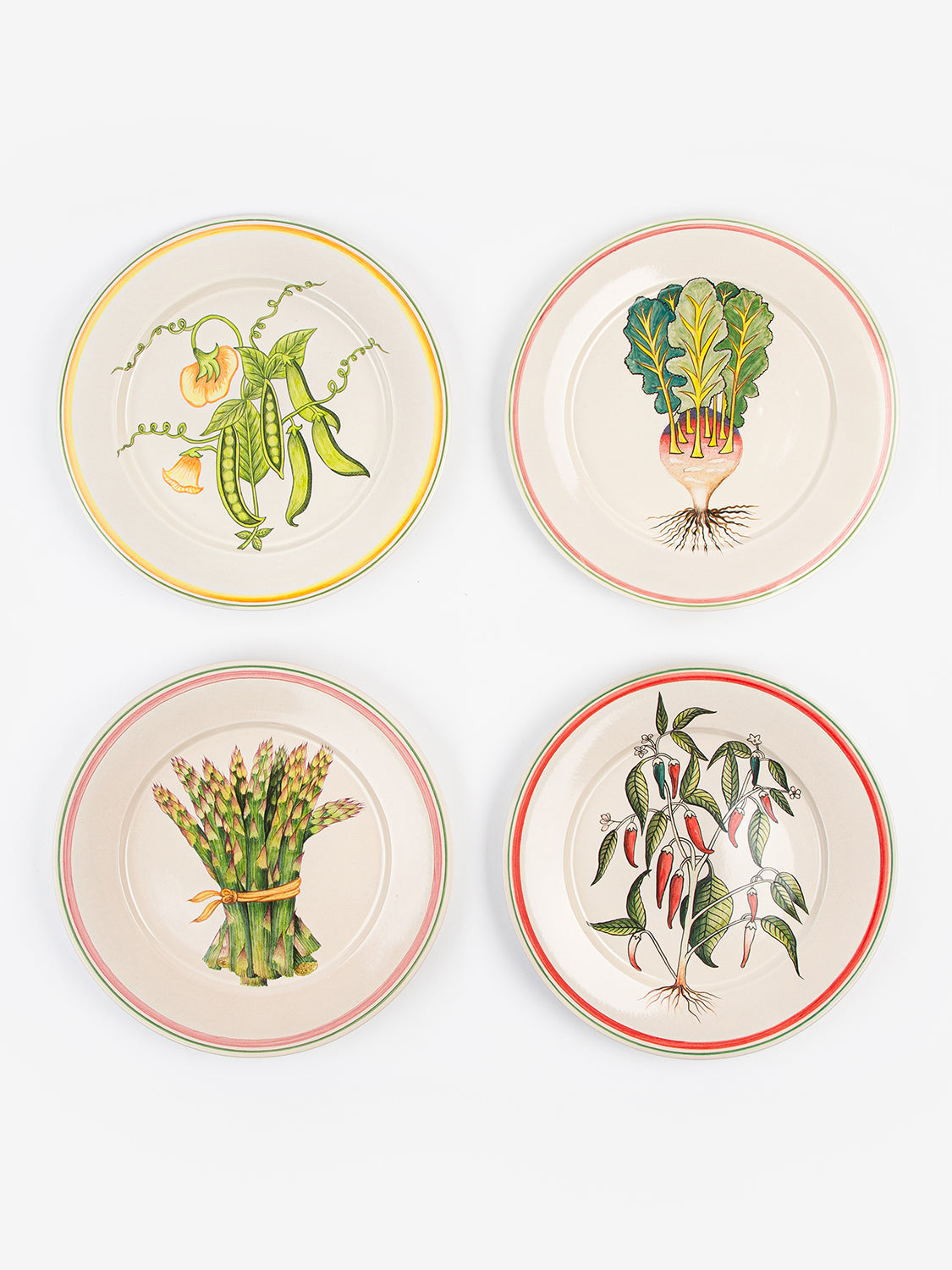 Hand Painted Dinner Plates